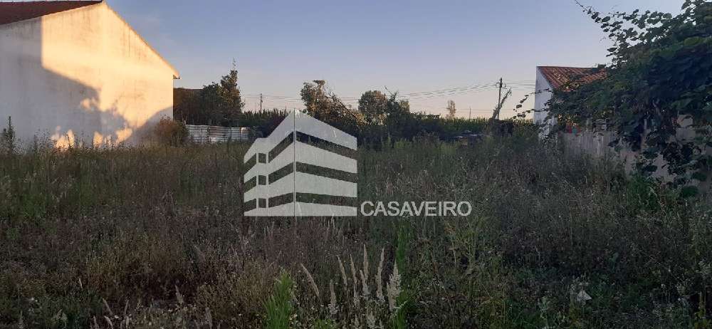 kaufen Grundstück  Aveiro  Aveiro 1