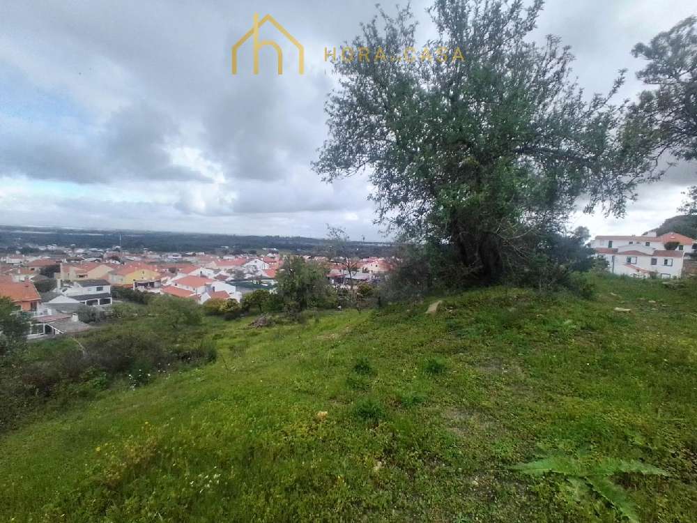 Palmela Palmela terreno foto #request.properties.id#