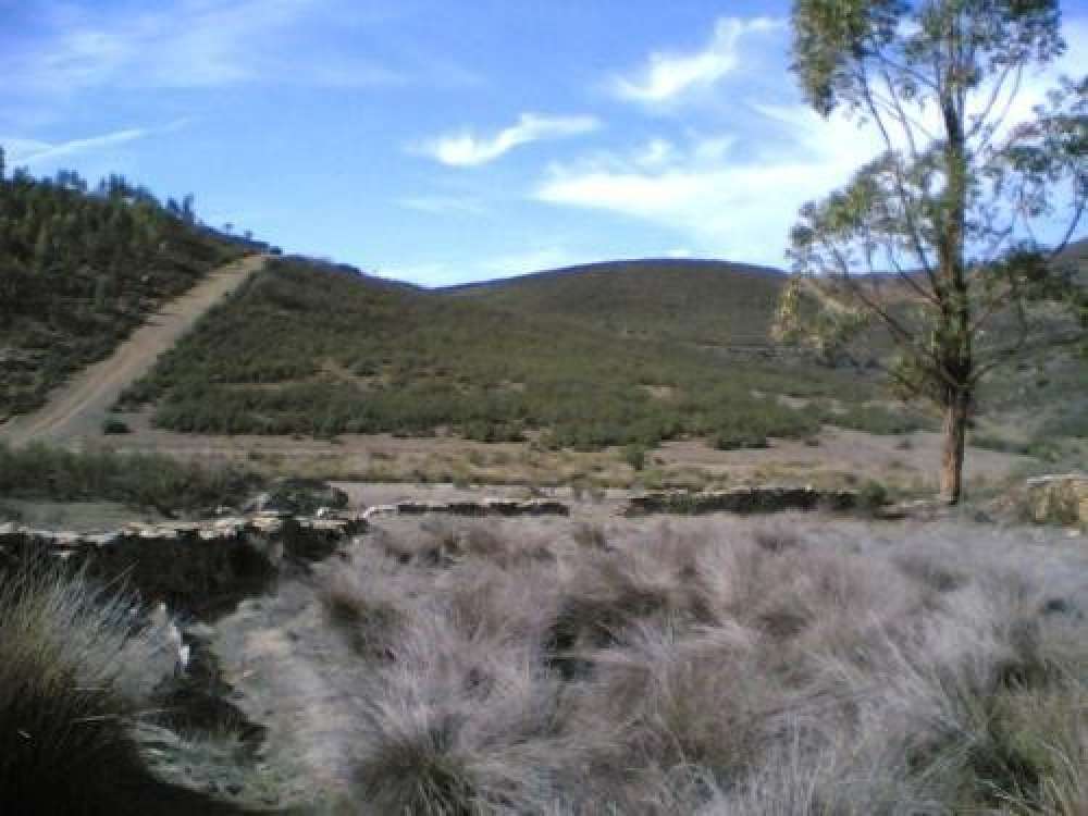 Alandroal Alandroal terrain picture 245848