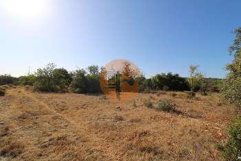 Estoi Faro terrain foto