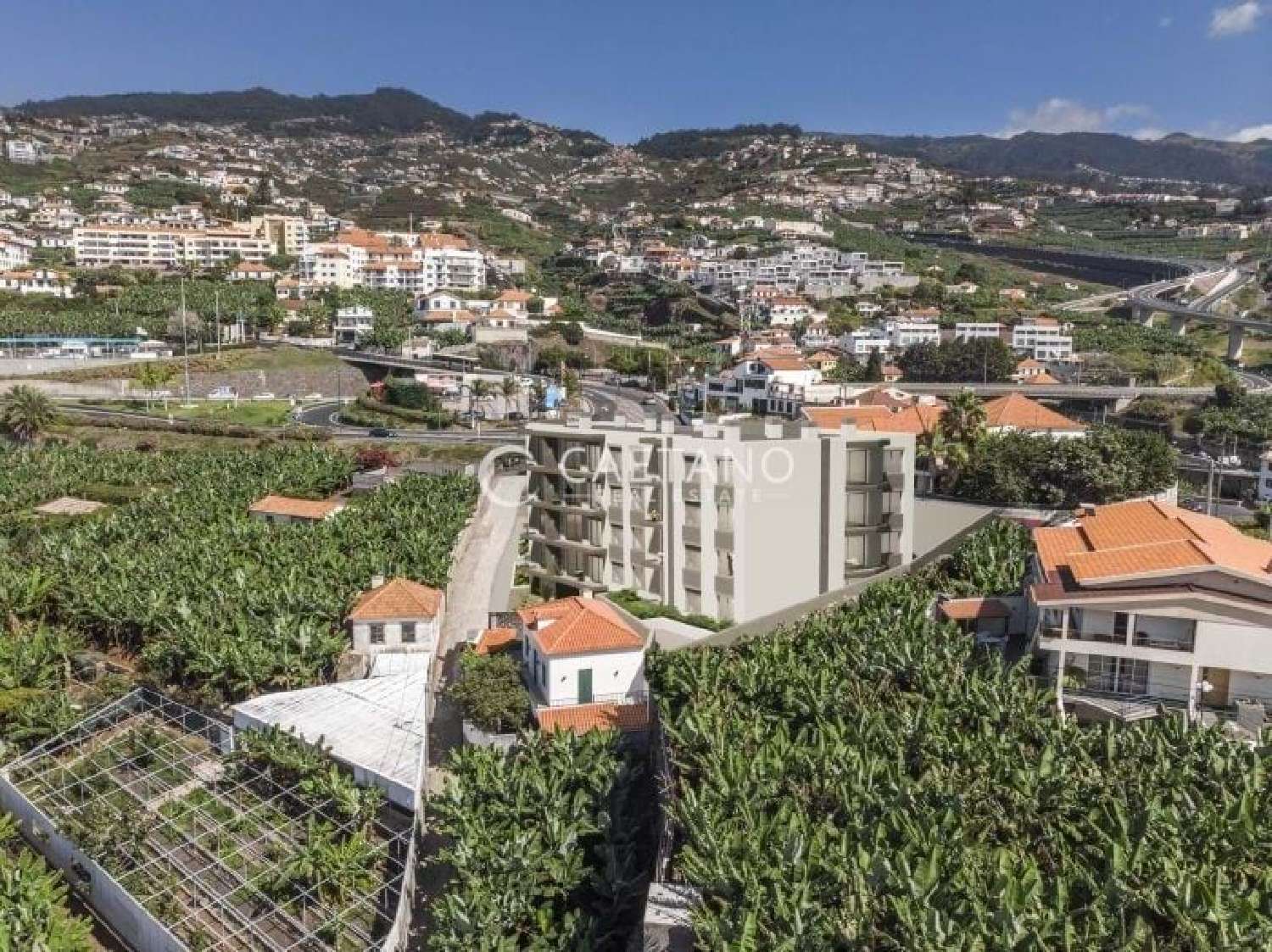  à venda apartamento Câmara de Lobos Câmara De Lobos 4