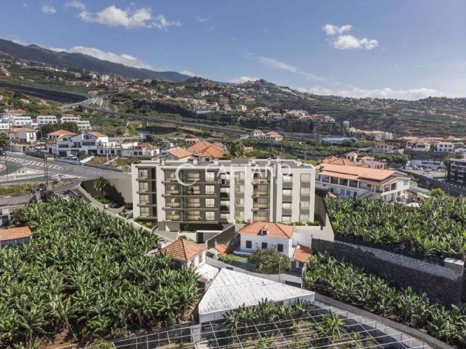  à venda apartamento Câmara de Lobos Câmara De Lobos 5