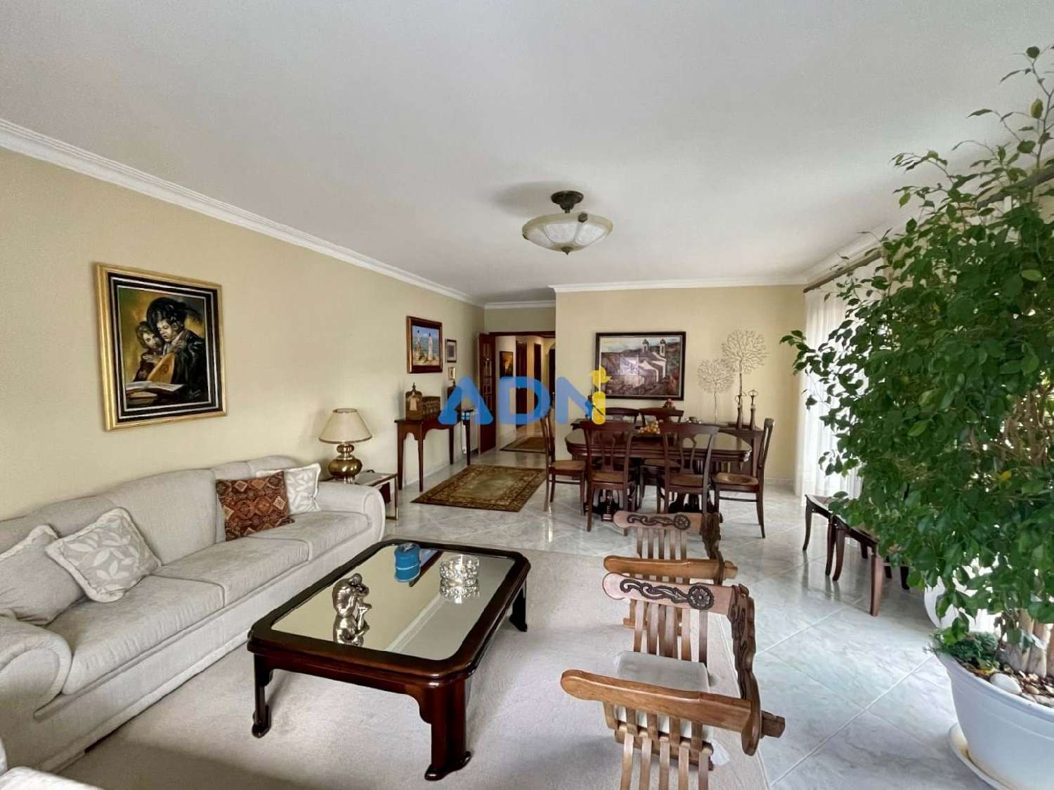  à venda apartamento Castelo Branco Castelo Branco 2