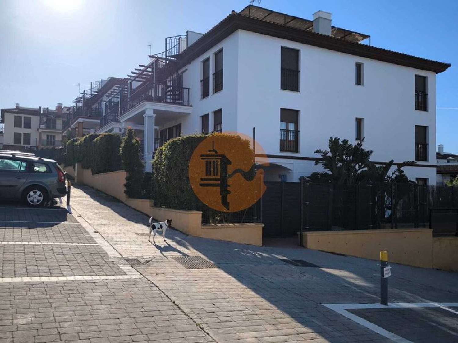  à venda apartamento Coimbra Coimbra 3