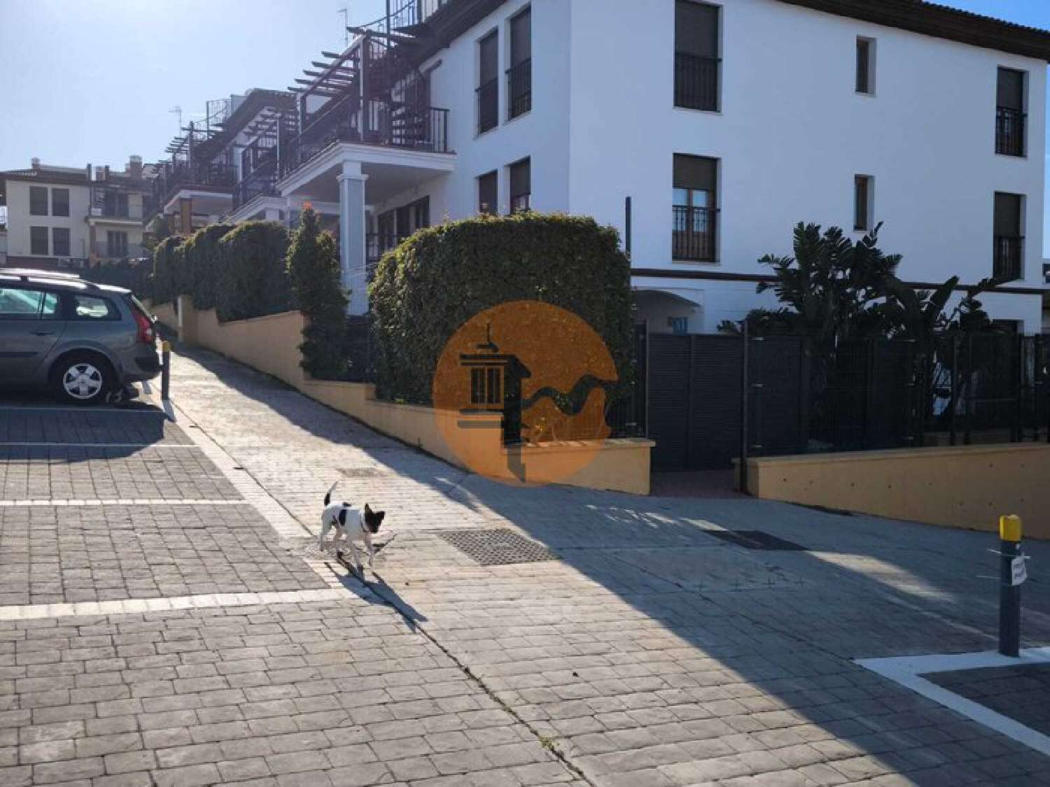  à venda apartamento Coimbra Coimbra 5