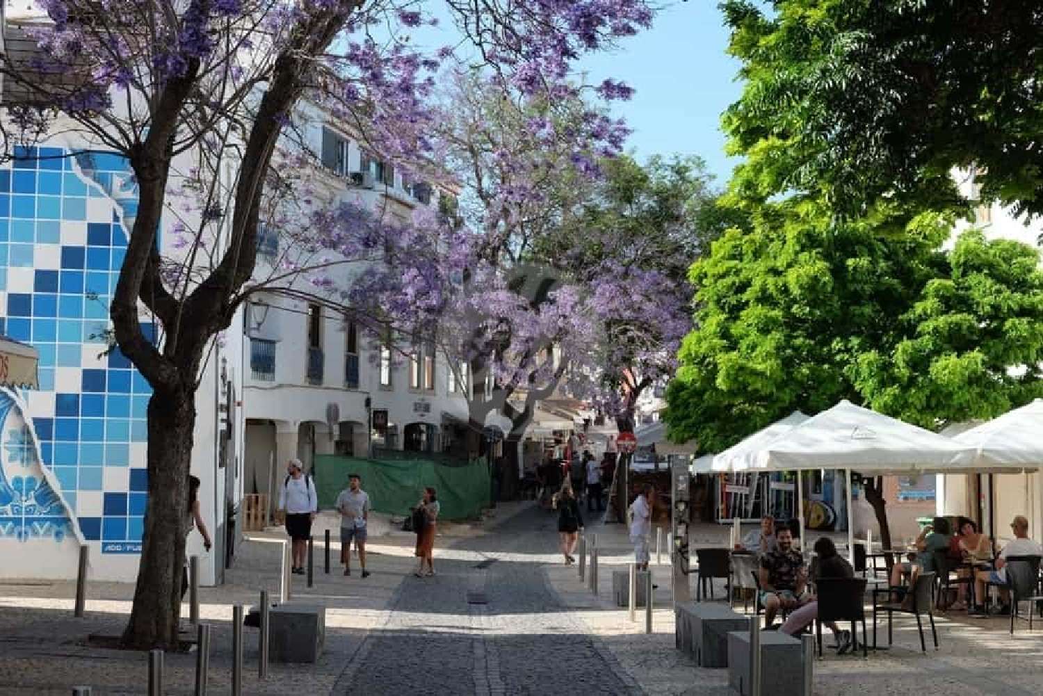  à venda imóveis comerciais Lagos Lagos 6