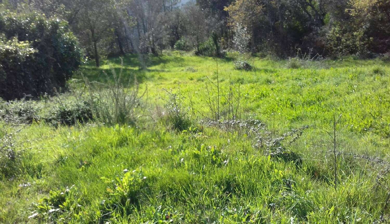  en venta casa rústica Aguiar de Sousa Paredes 1