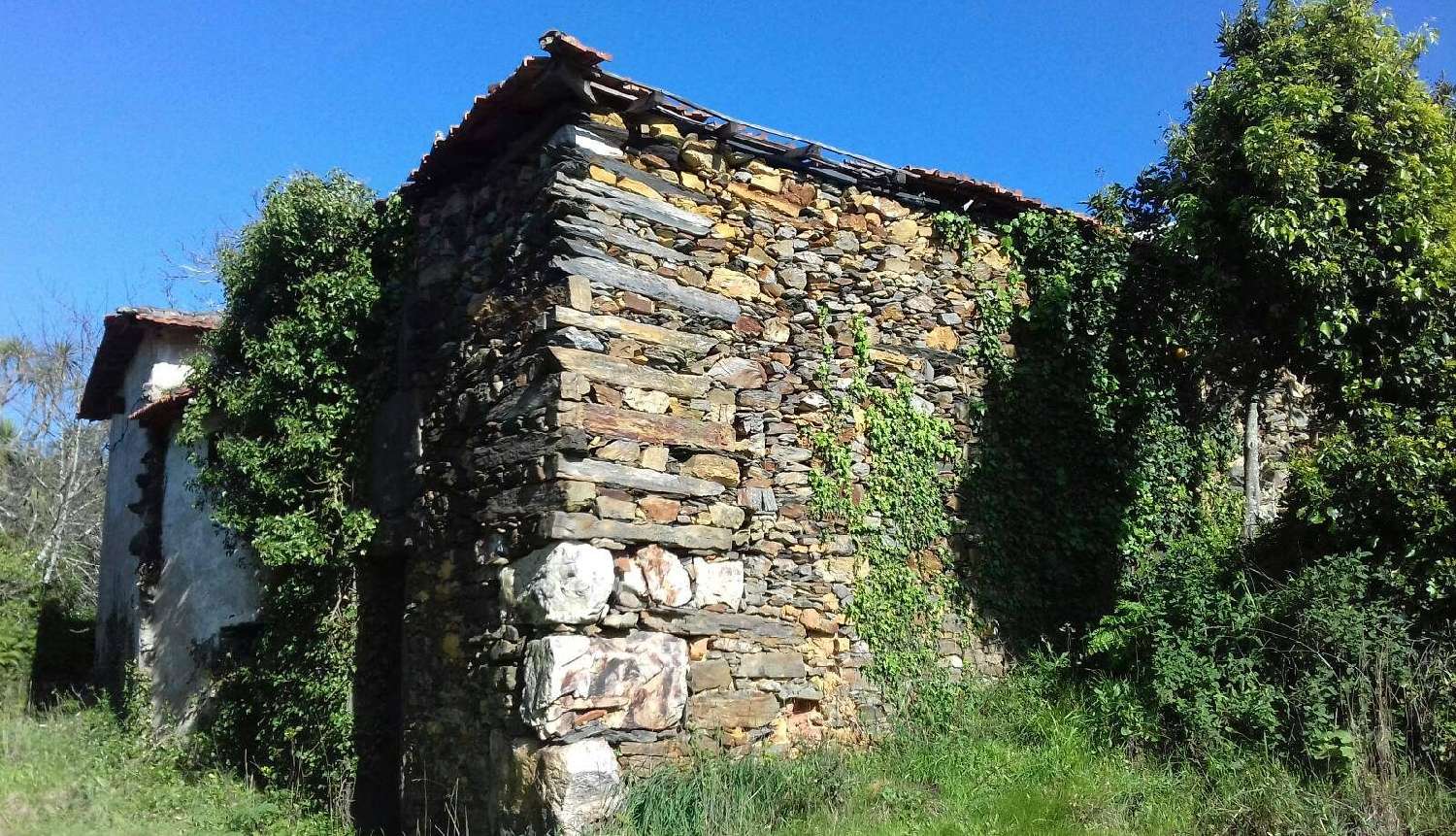  en venta casa rústica Aguiar de Sousa Paredes 4