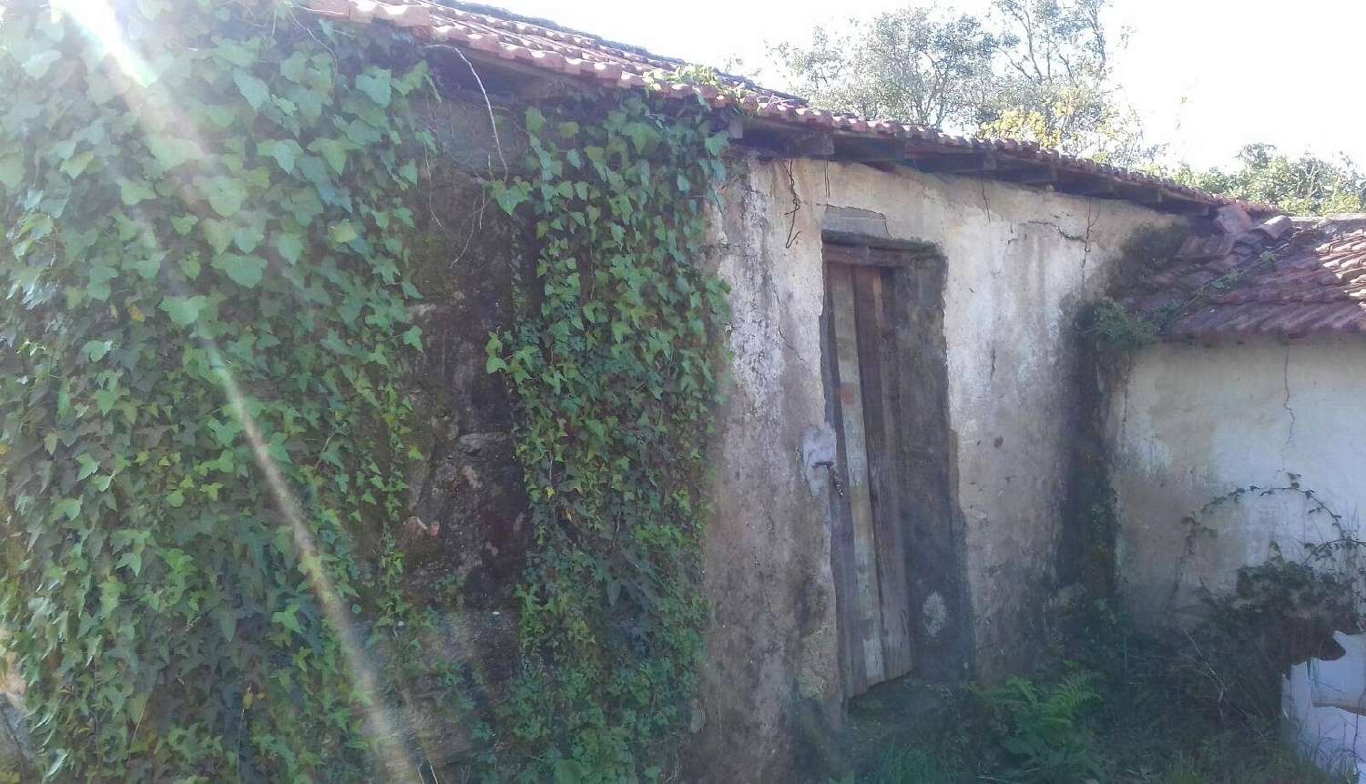  en venta casa rústica Aguiar de Sousa Paredes 5