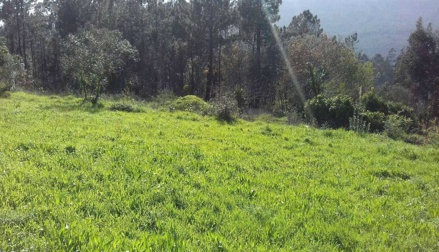  en venta casa rústica Aguiar de Sousa Paredes 8