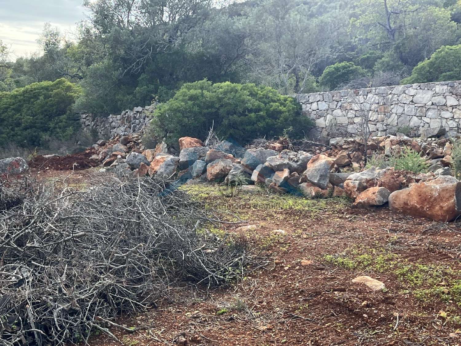  à venda quinta Fuseta Olhão 6