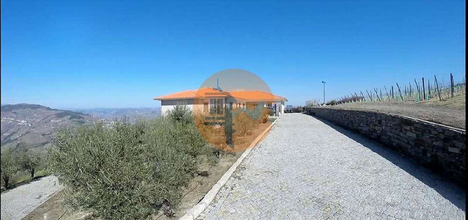  à venda quinta Penajóia Lamego 1