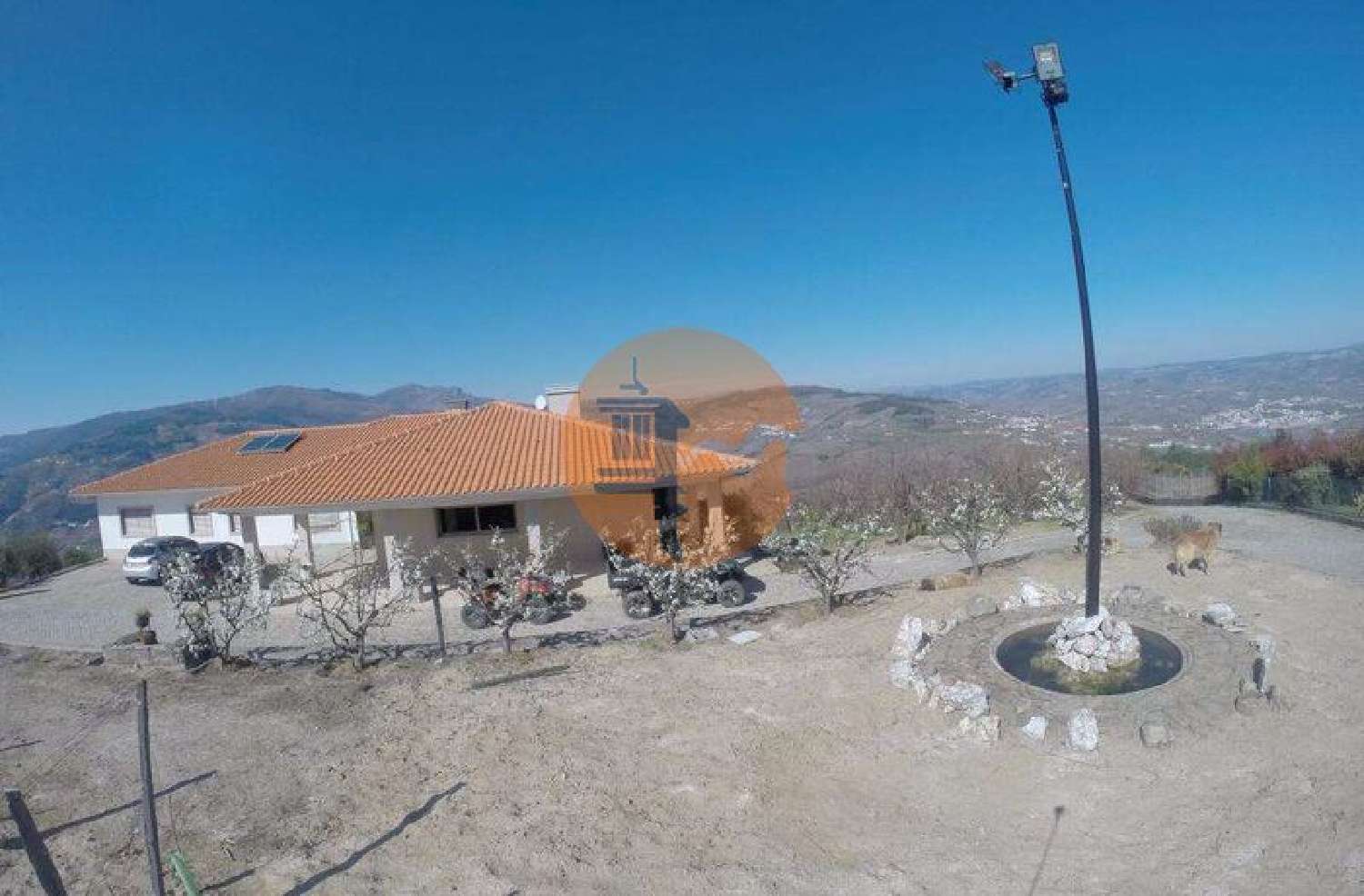  à venda quinta Penajóia Lamego 2