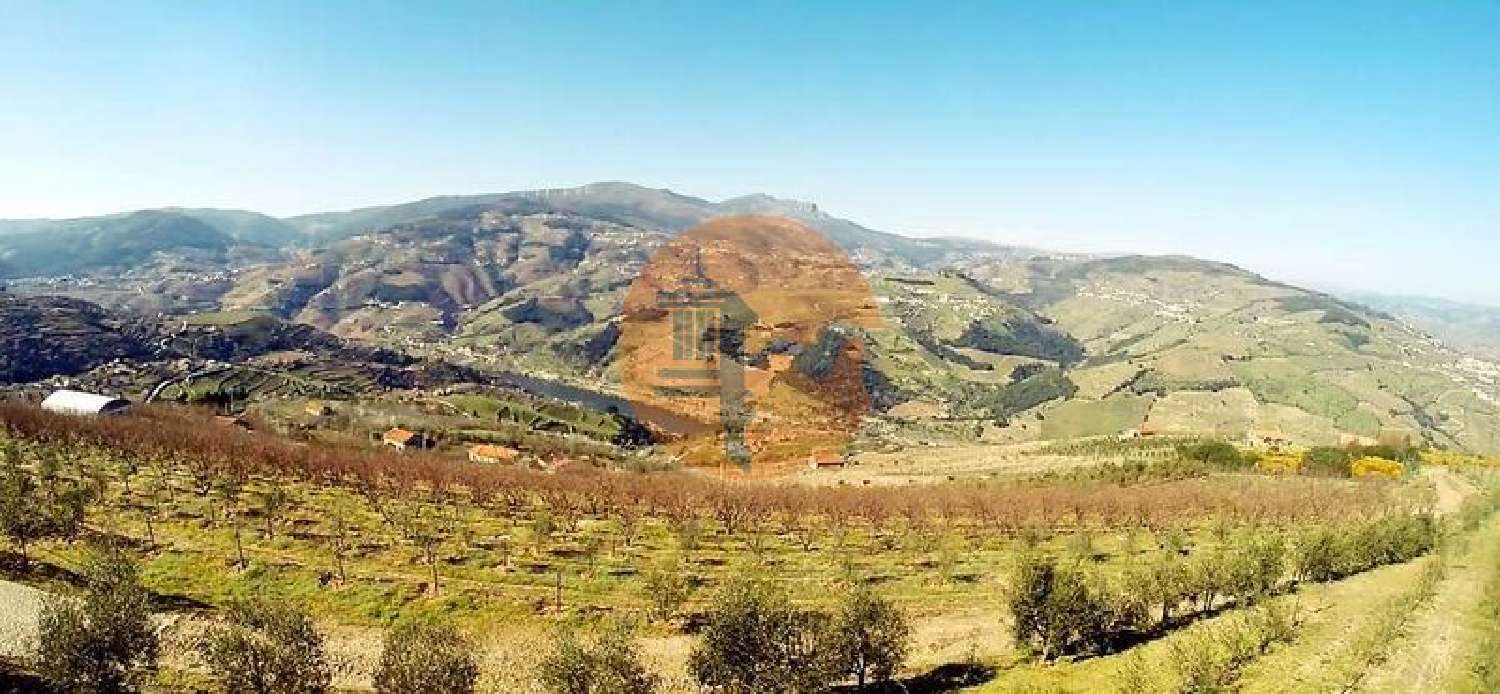  à venda quinta Penajóia Lamego 5