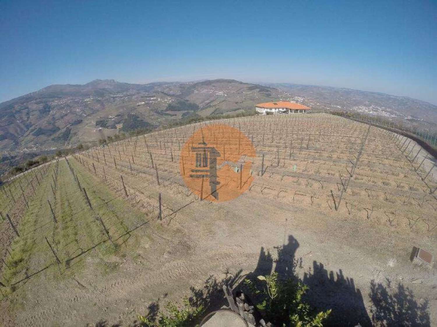  à venda quinta Penajóia Lamego 8