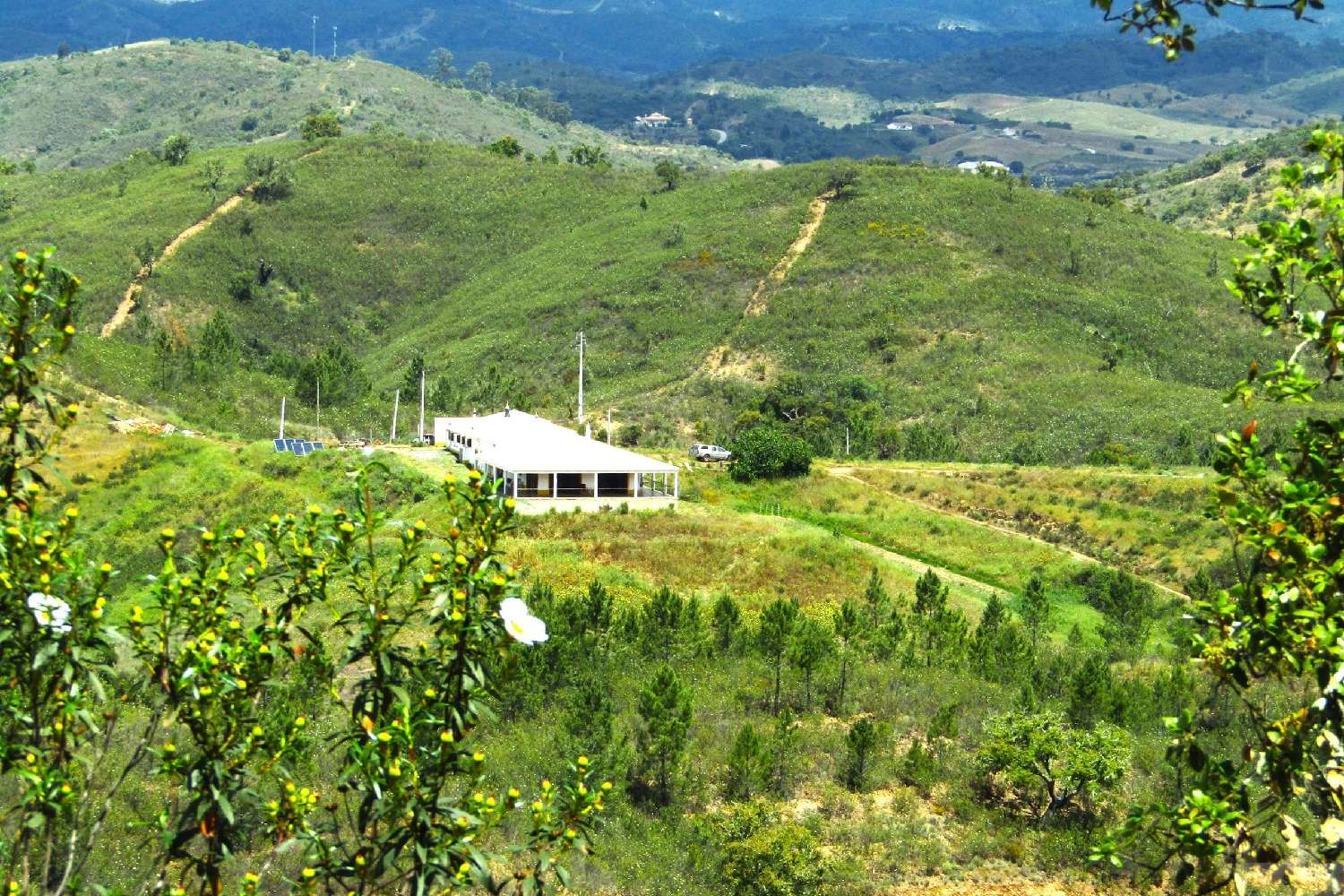  à venda quinta Silves Silves 4