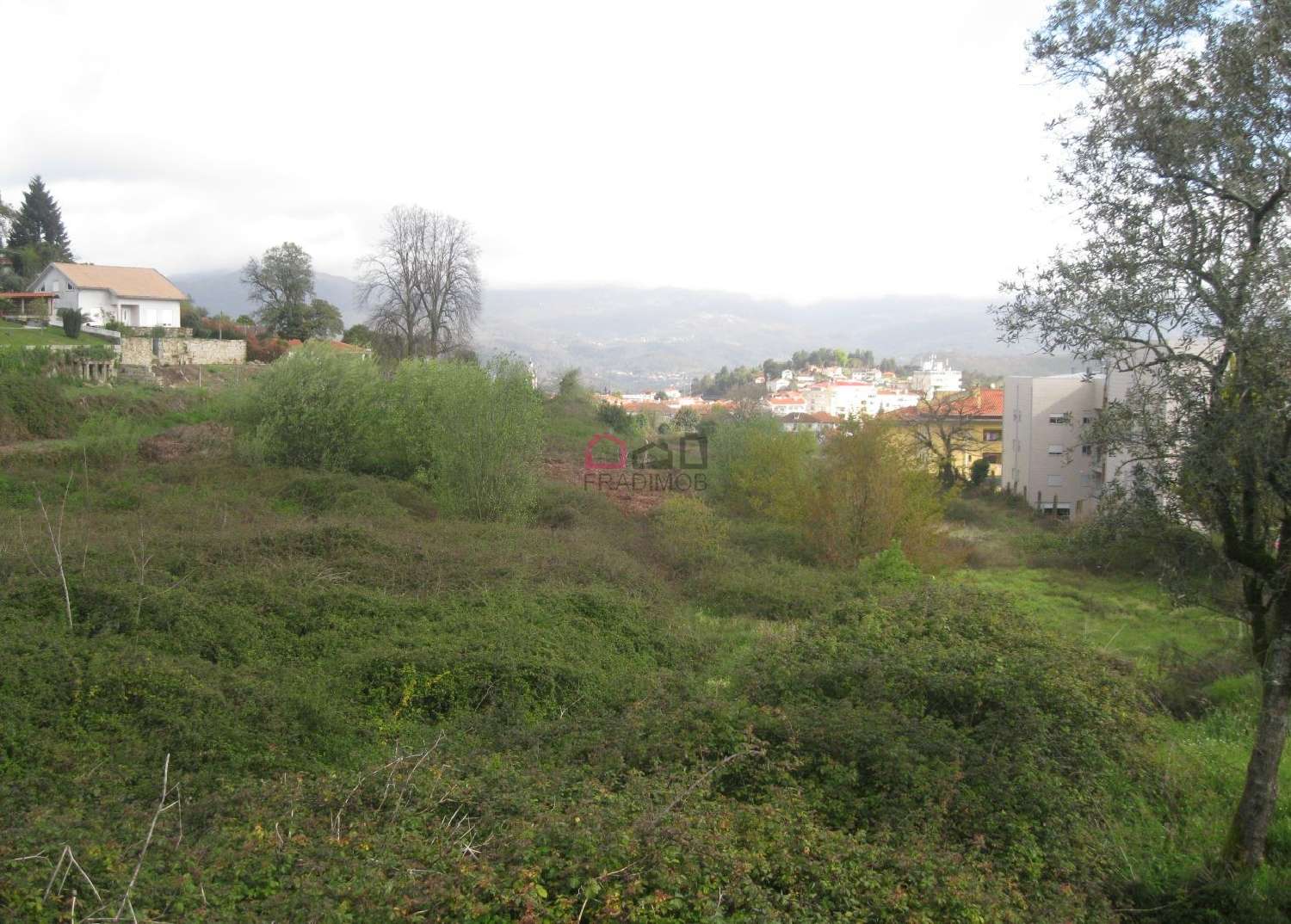  for sale farm Souto Castro Daire 1