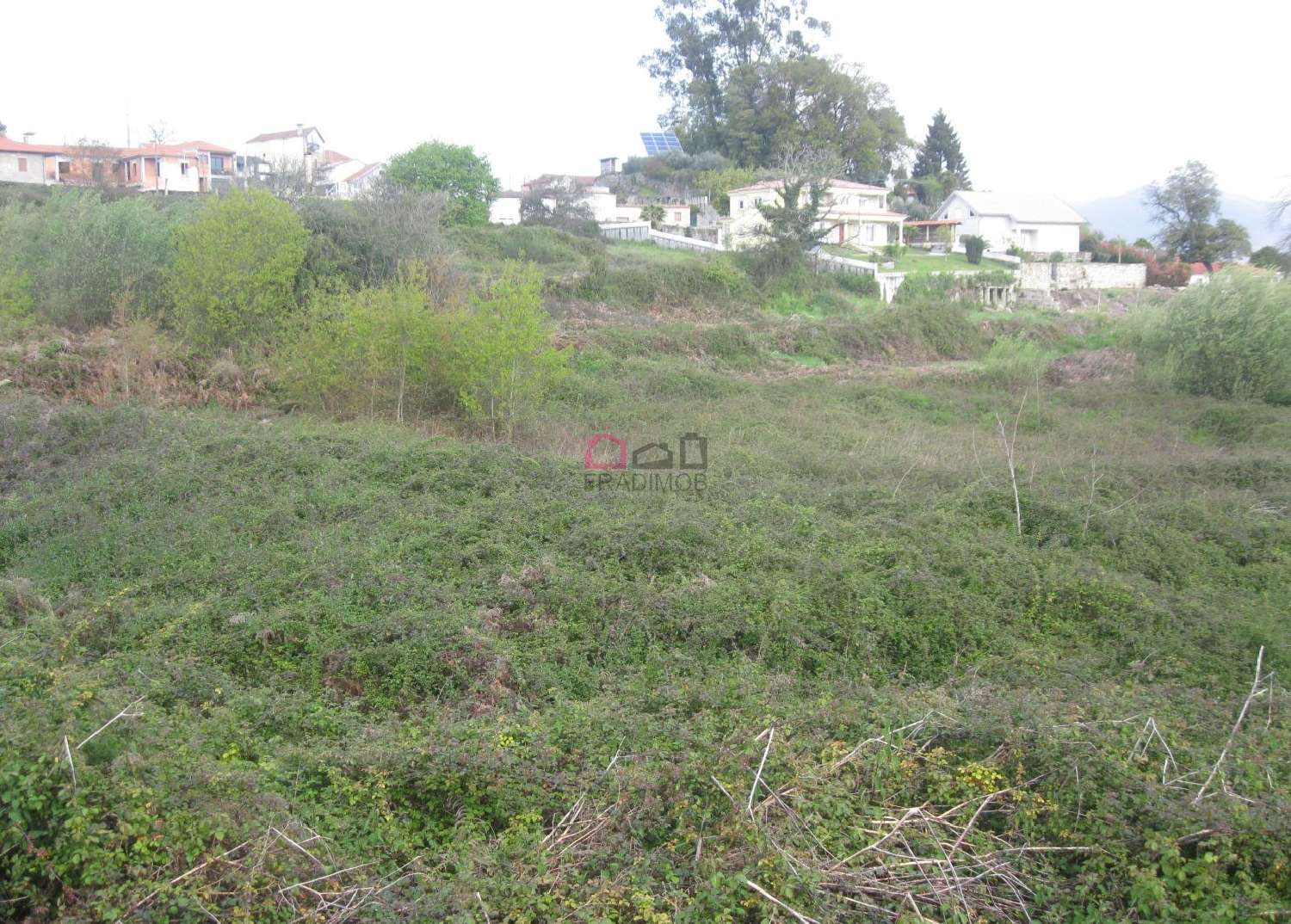  for sale farm Souto Castro Daire 2