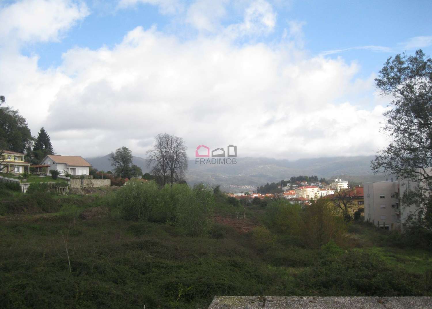  for sale farm Souto Castro Daire 3