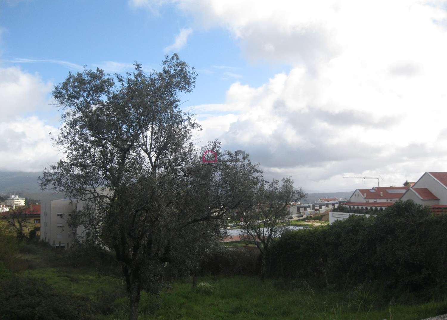  for sale farm Souto Castro Daire 4