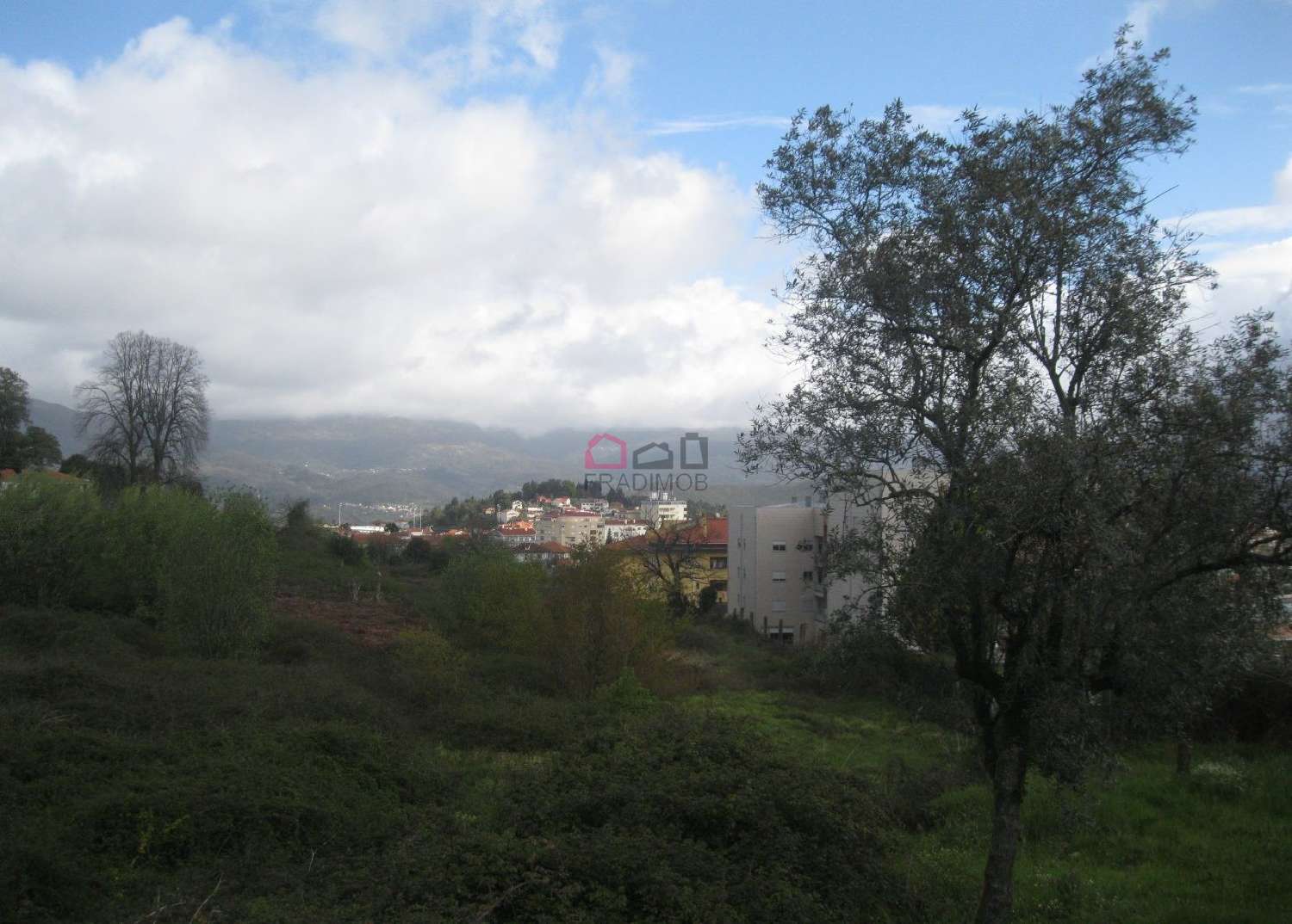  for sale farm Souto Castro Daire 5