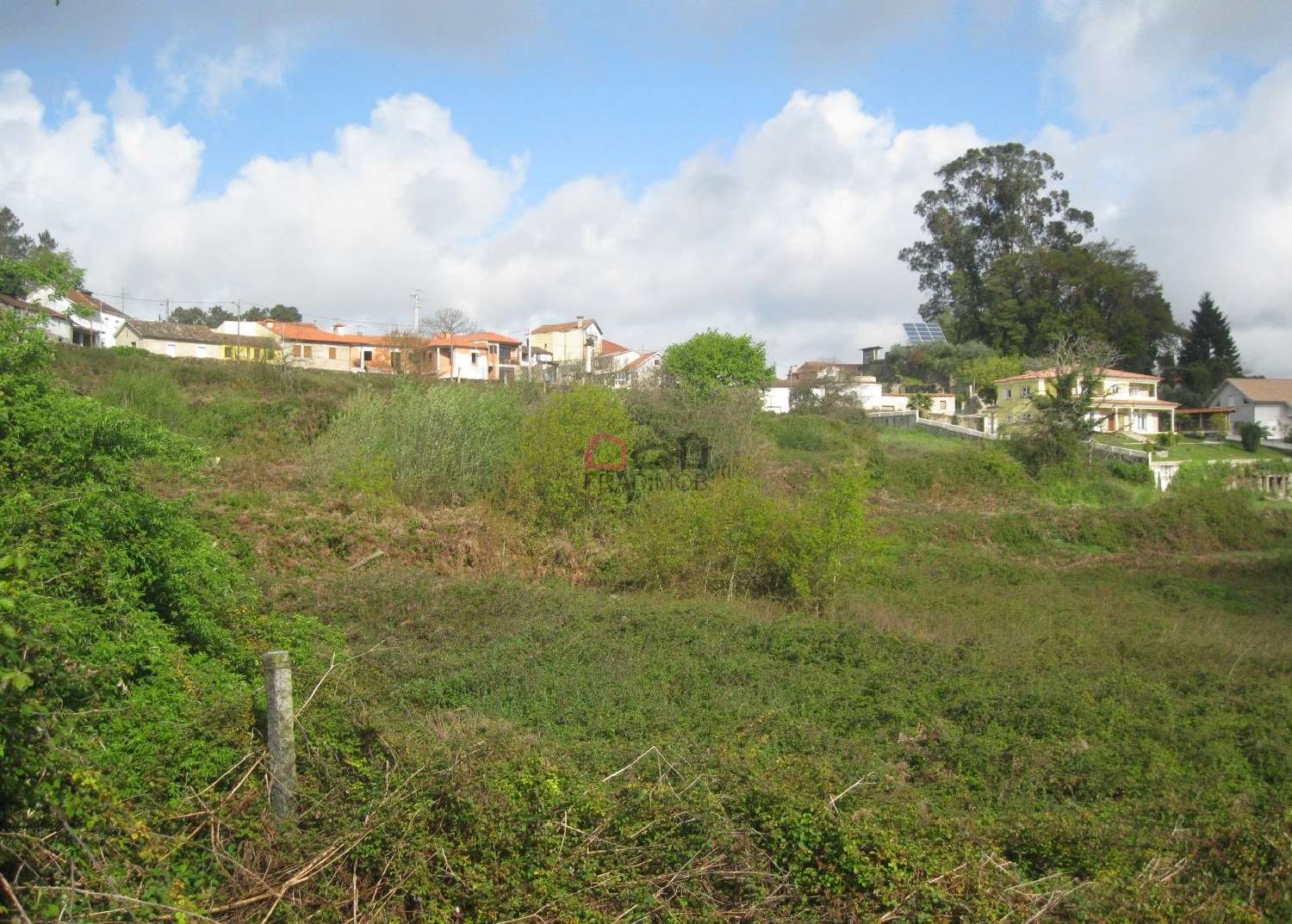  for sale farm Souto Castro Daire 6