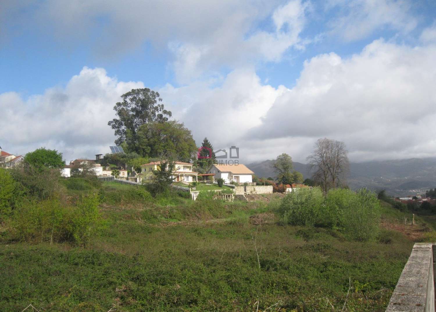  for sale farm Souto Castro Daire 7