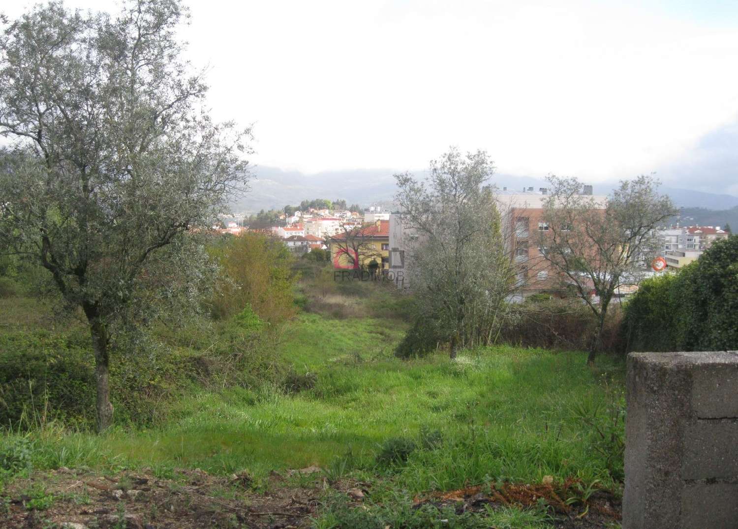  for sale farm Souto Castro Daire 8