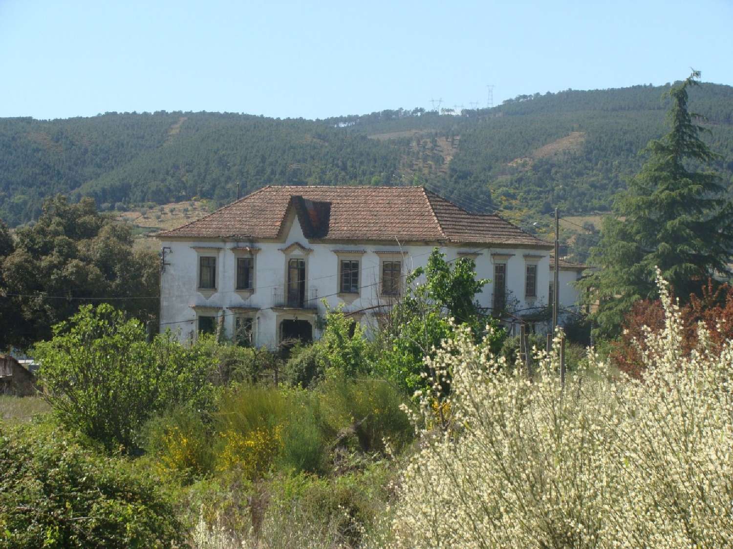  for sale farm Vilar Boticas 1