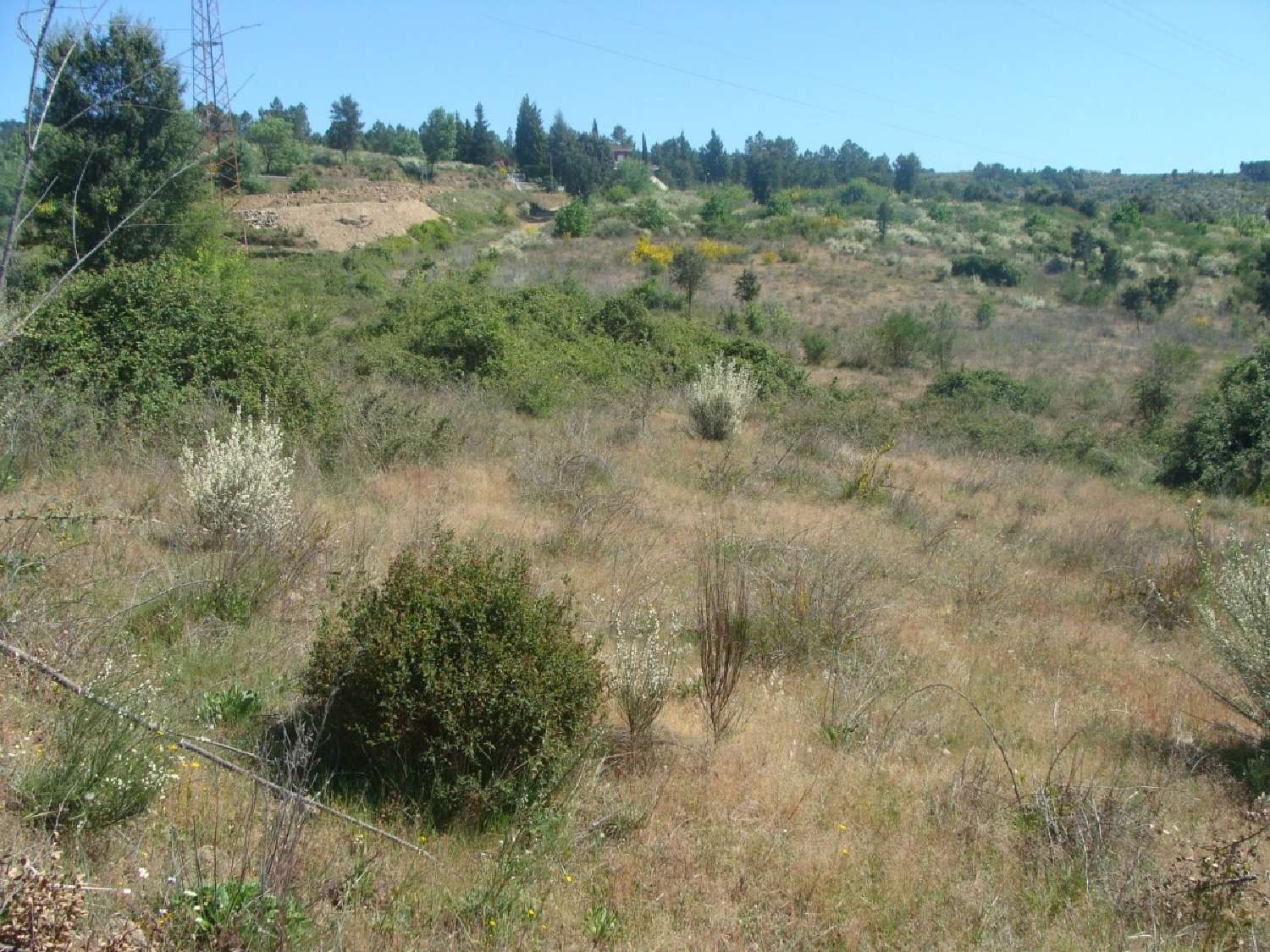 for sale farm Vilar Boticas 3