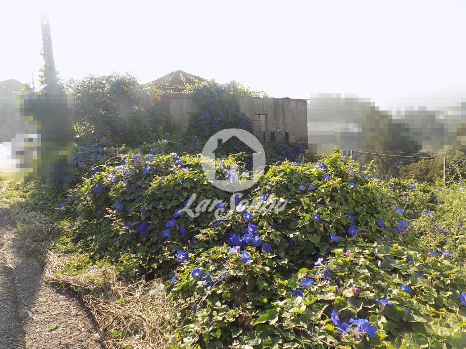 te koop huis Bairro Vila Nova De Famalicão 2