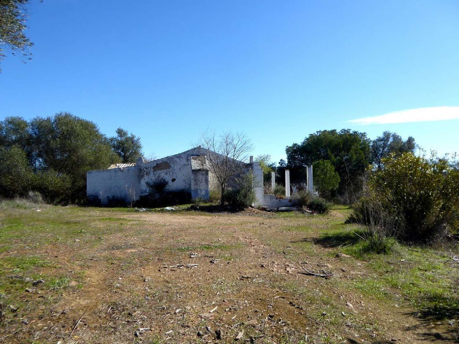  à venda casa Baleizão Beja 1