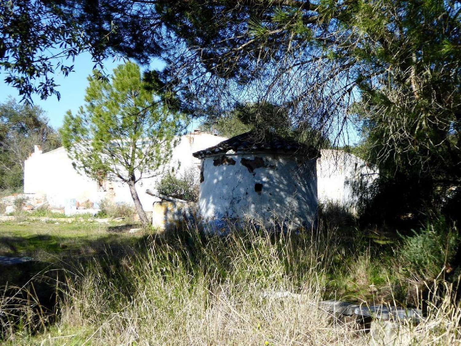 à venda casa Baleizão Beja 2