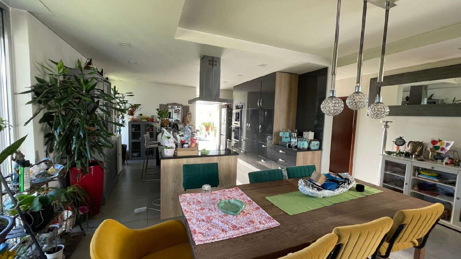 for sale house Cadima Cantanhede 3