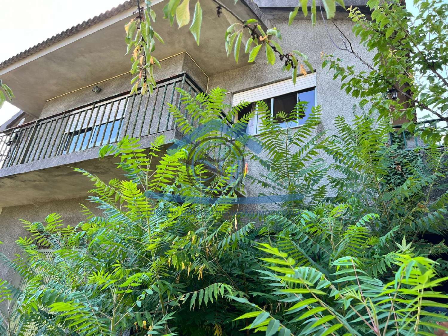  en venta casa Campeã Vila Real 4