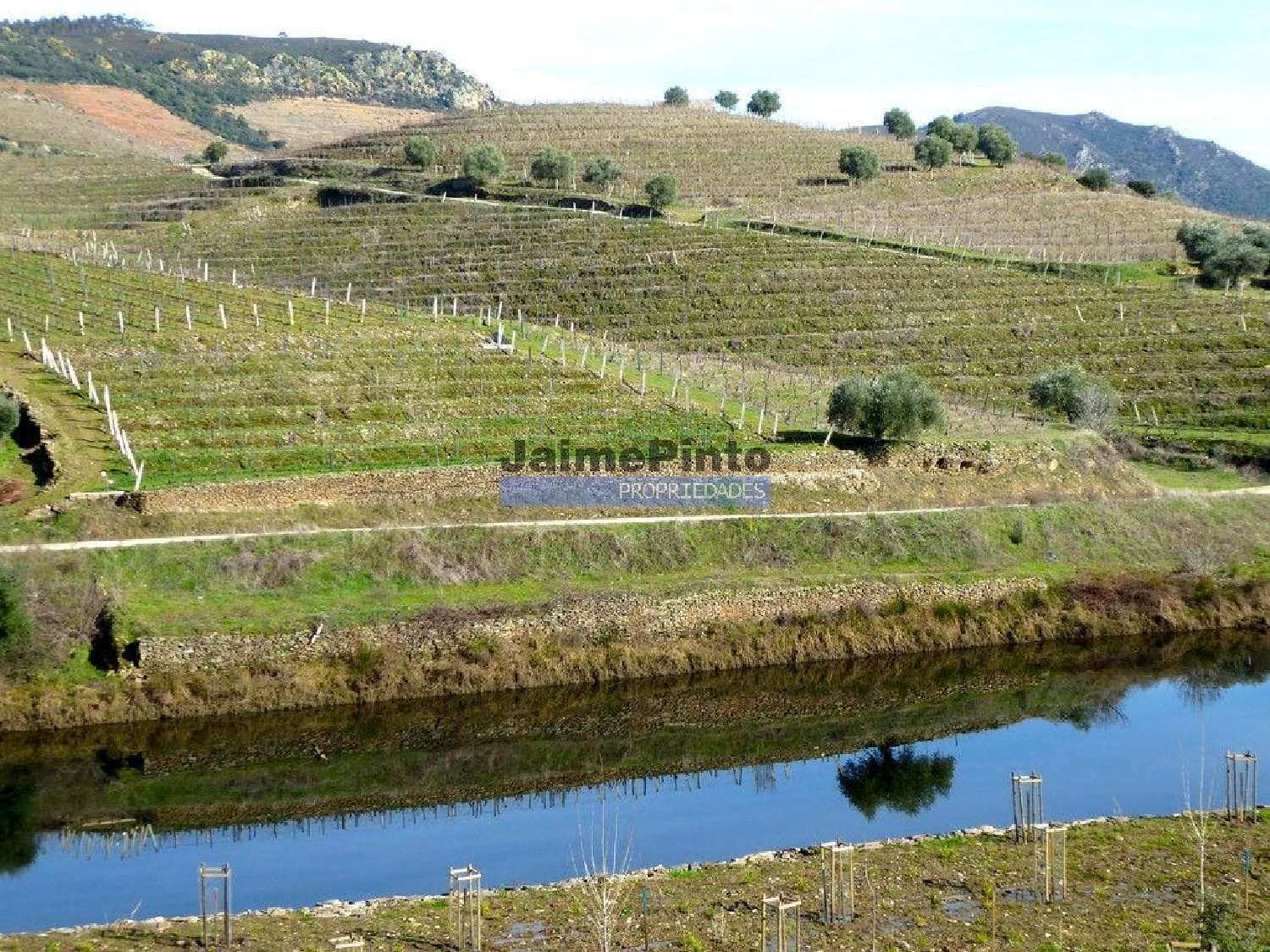  en venta casa Carrazeda de Ansiães Carrazeda De Ansiães 1