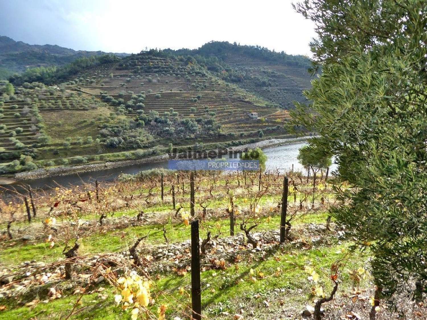  en venta casa Carrazeda de Ansiães Carrazeda De Ansiães 3
