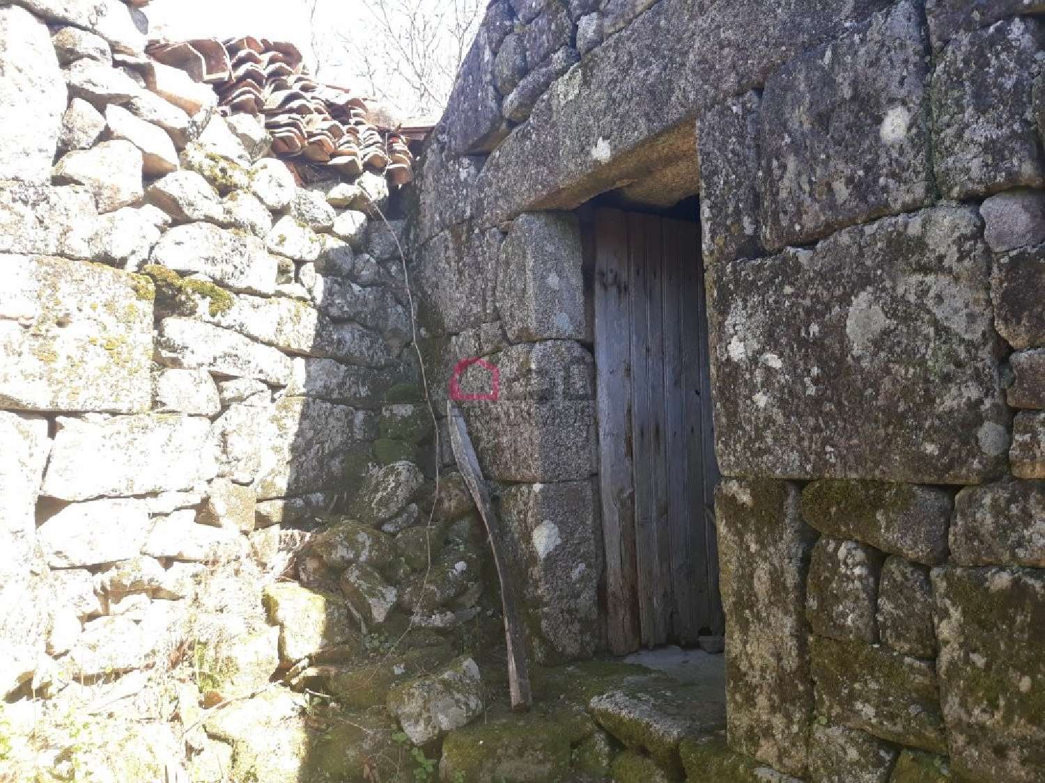 à venda casa Carvalhal Castro Daire 4