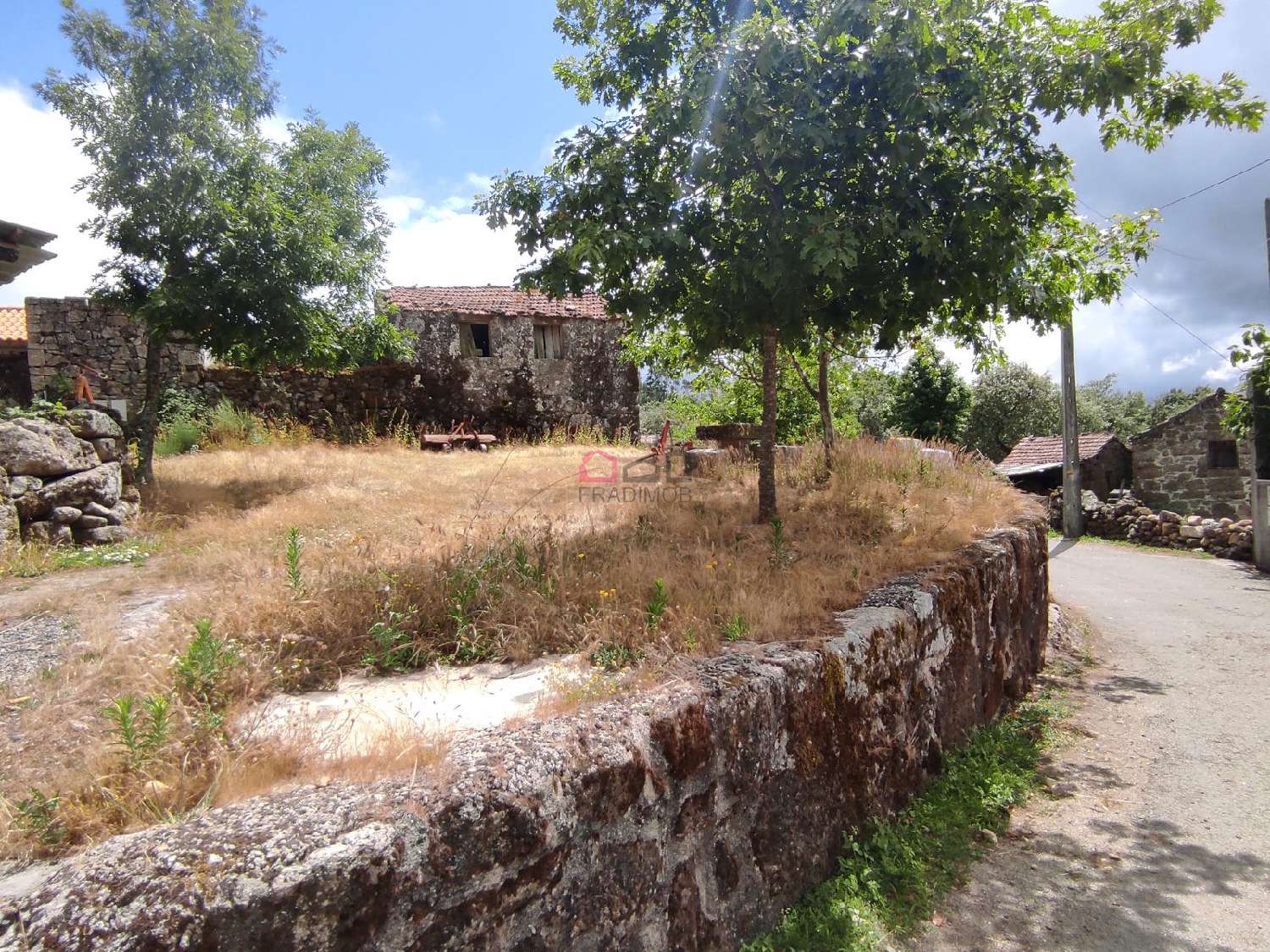 te koop huis Carvalhal Castro Daire 2