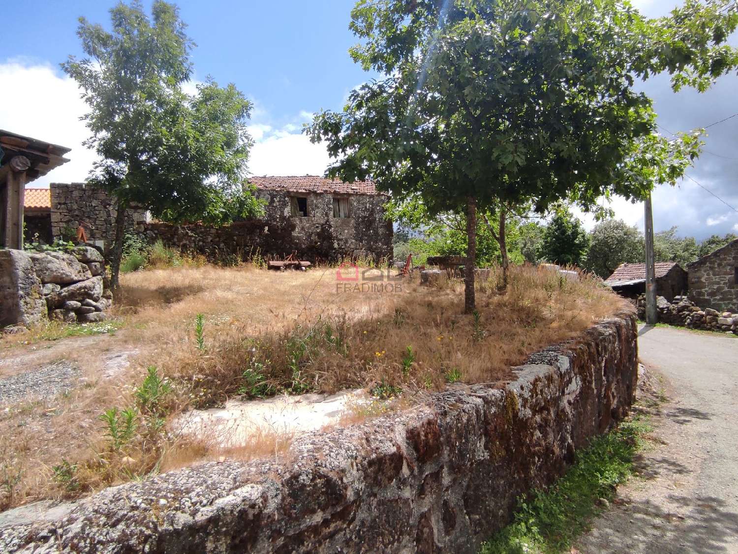  for sale house Carvalhal Castro Daire 6