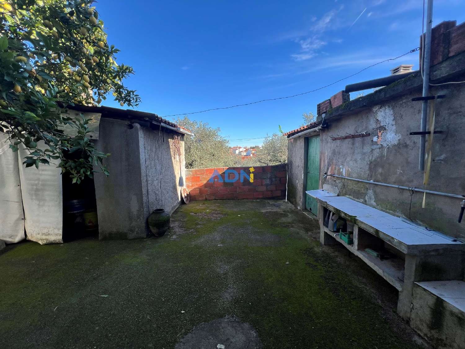  en venta casa Castelo Branco Castelo Branco 2