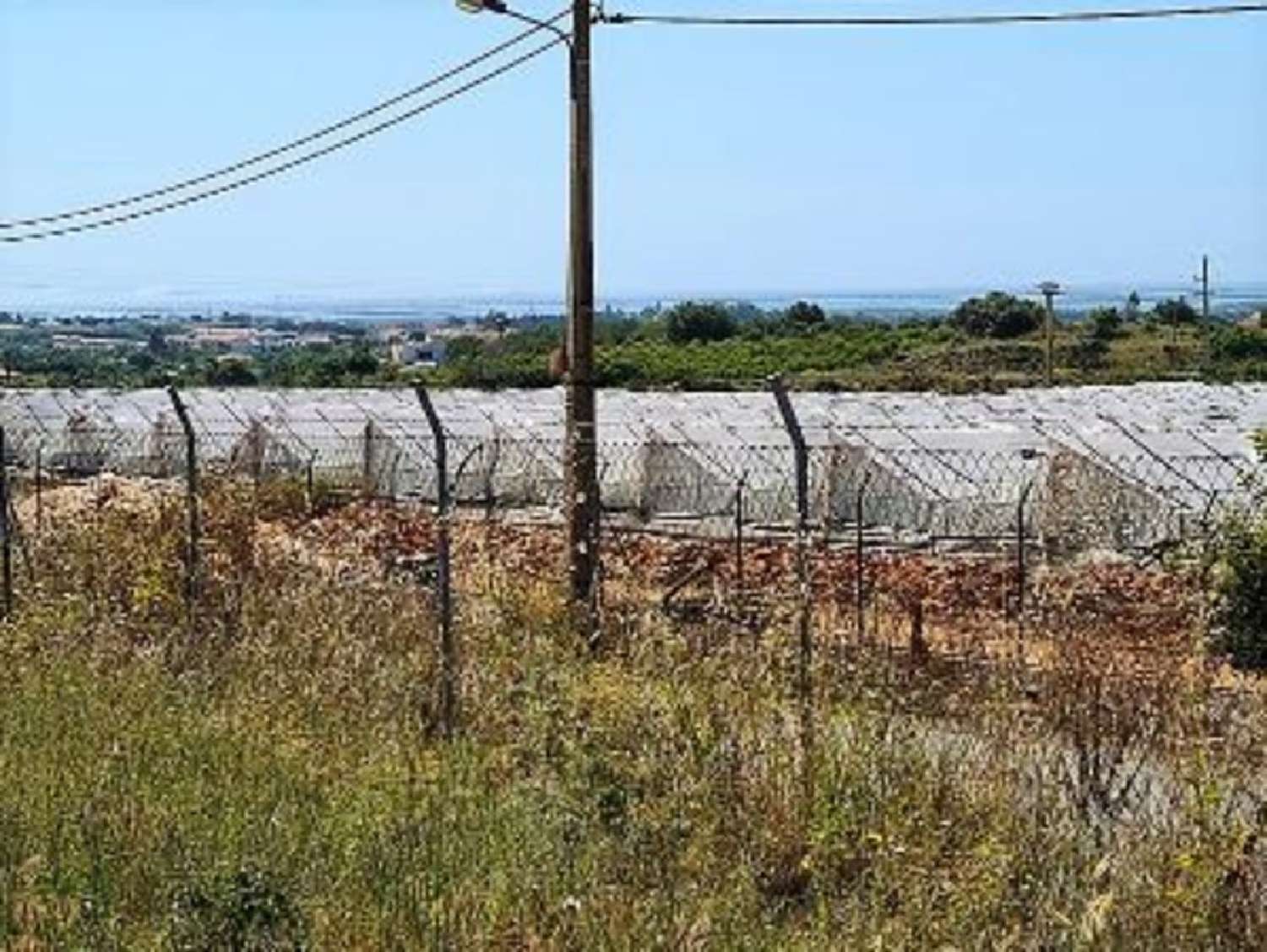  à venda casa Faro Esposende 4