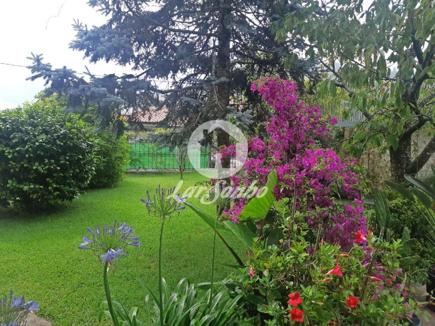  for sale house Freitas Fafe 2
