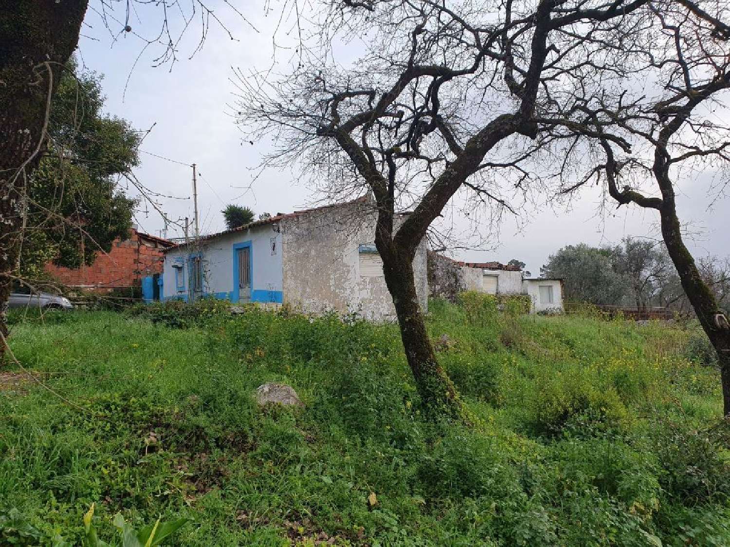  à venda casa Juncal Porto De Mós 3