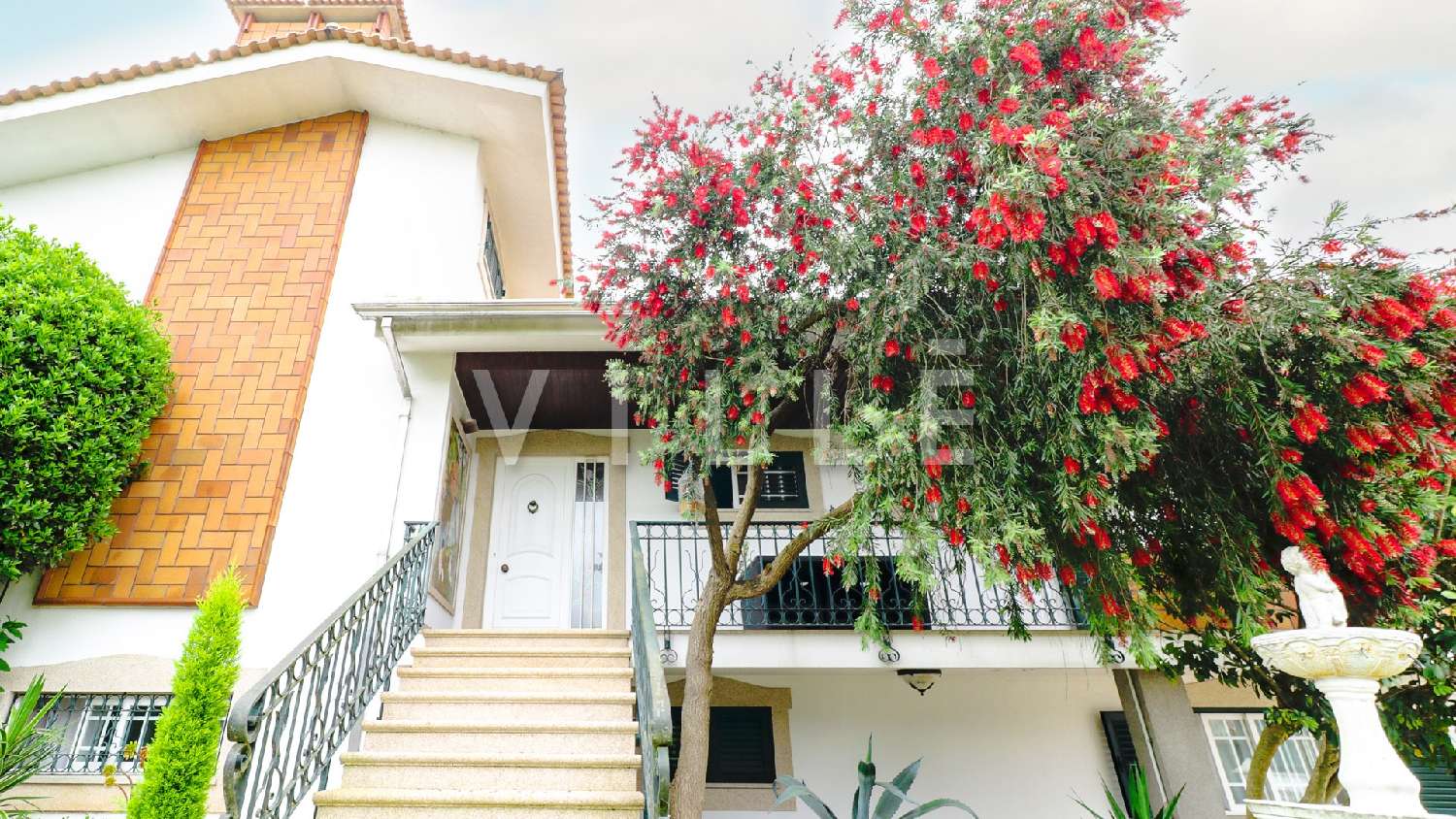  à venda casa Oliveira de Azeméis Oliveira De Azeméis 8