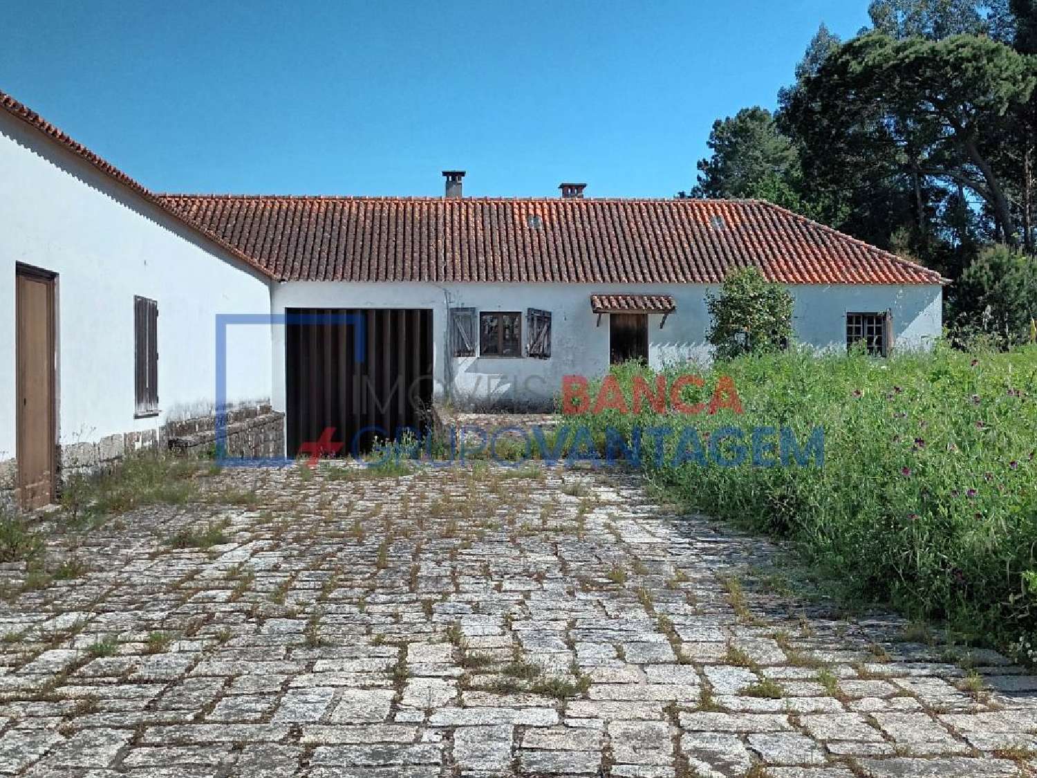  à venda casa Oliveira do Conde Carregal Do Sal 2