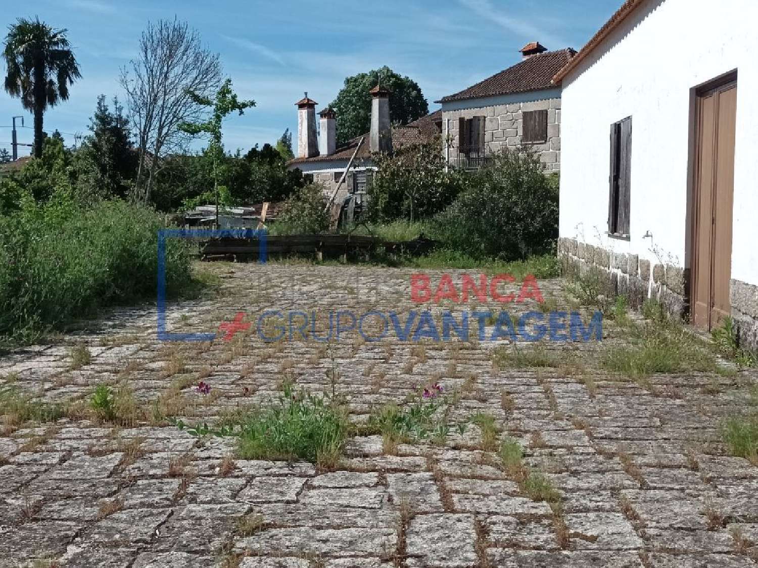  à venda casa Oliveira do Conde Carregal Do Sal 3