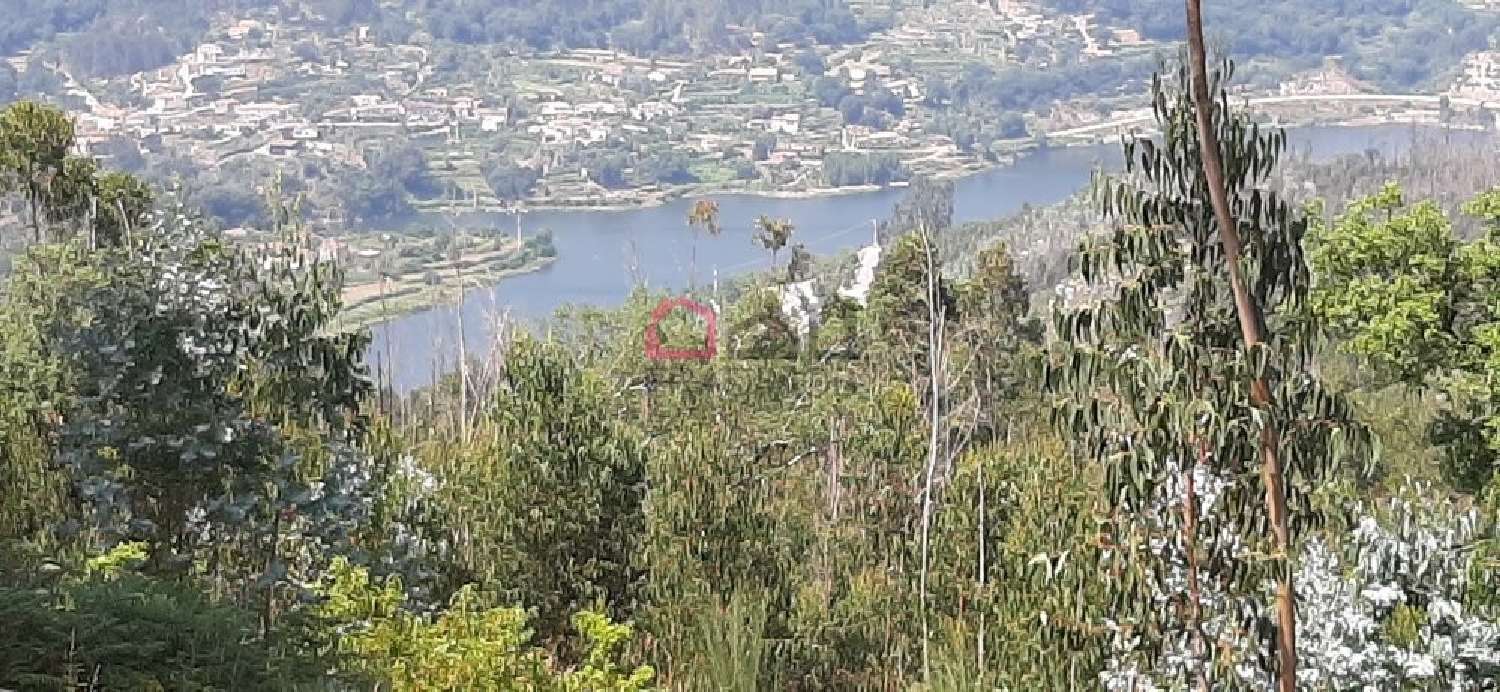  à venda casa Pinheiro Carregal Do Sal 1