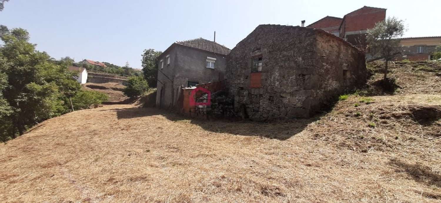 à venda casa Pinheiro Carregal Do Sal 2