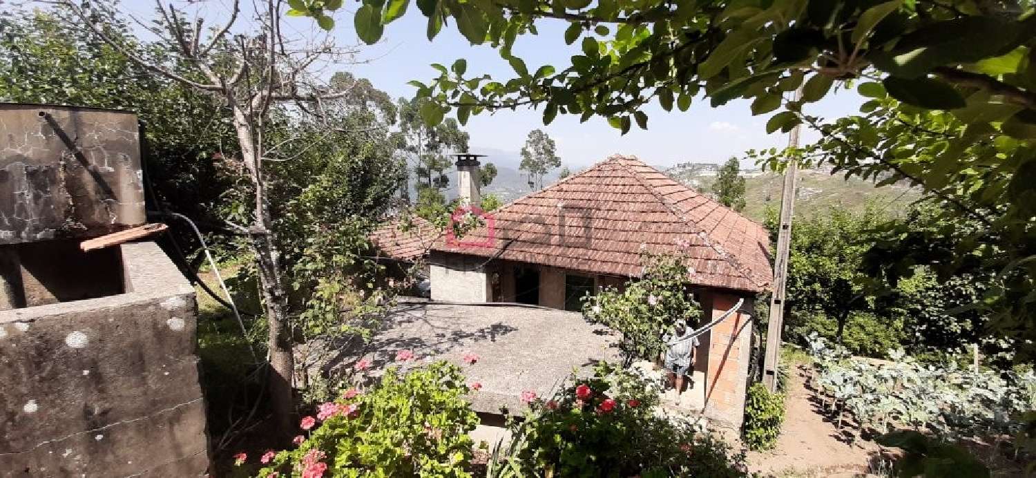 à venda casa Pinheiro Carregal Do Sal 3